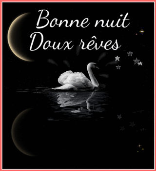 bonne nuit doux rêves signe